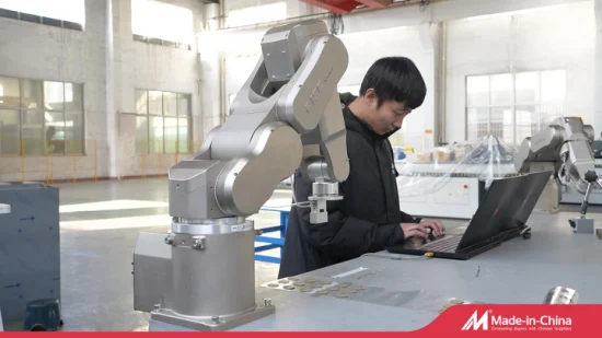 China Manufacture Quality 6 Axis Industrial Robotic Collaborative Robot Arm for Packaging