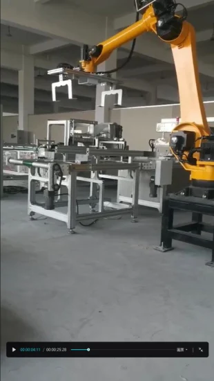 Custom-Made Short Delivery 6 Axis for Automatic CNC Industrial Robot Arm